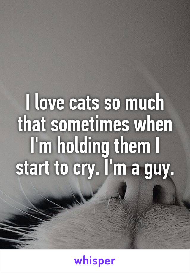 I love cats so much that sometimes when I'm holding them I start to cry. I'm a guy.