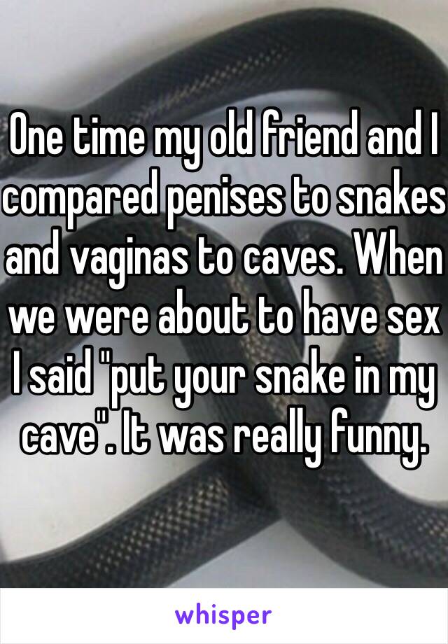 One time my old friend and I compared penises to snakes and vaginas to caves. When we were about to have sex I said "put your snake in my cave". It was really funny. 