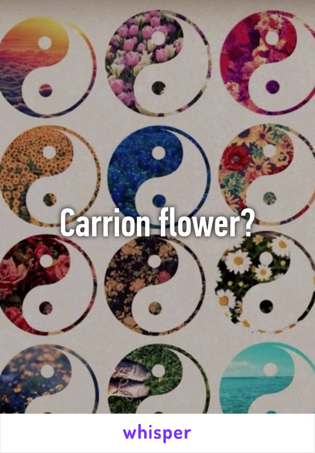 Carrion flower?