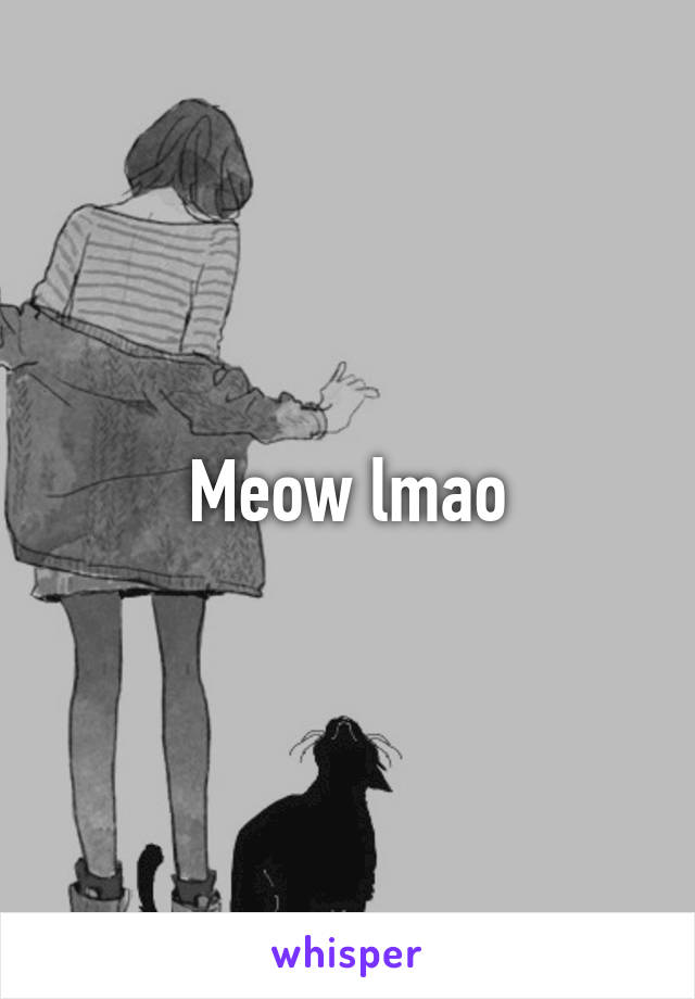 Meow lmao