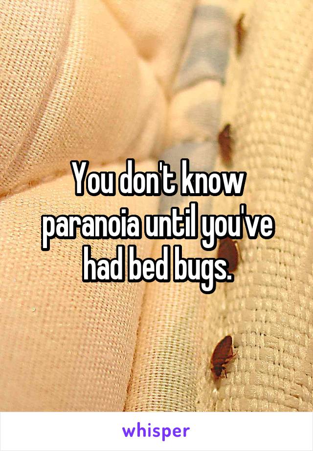 You don't know paranoia until you've had bed bugs.