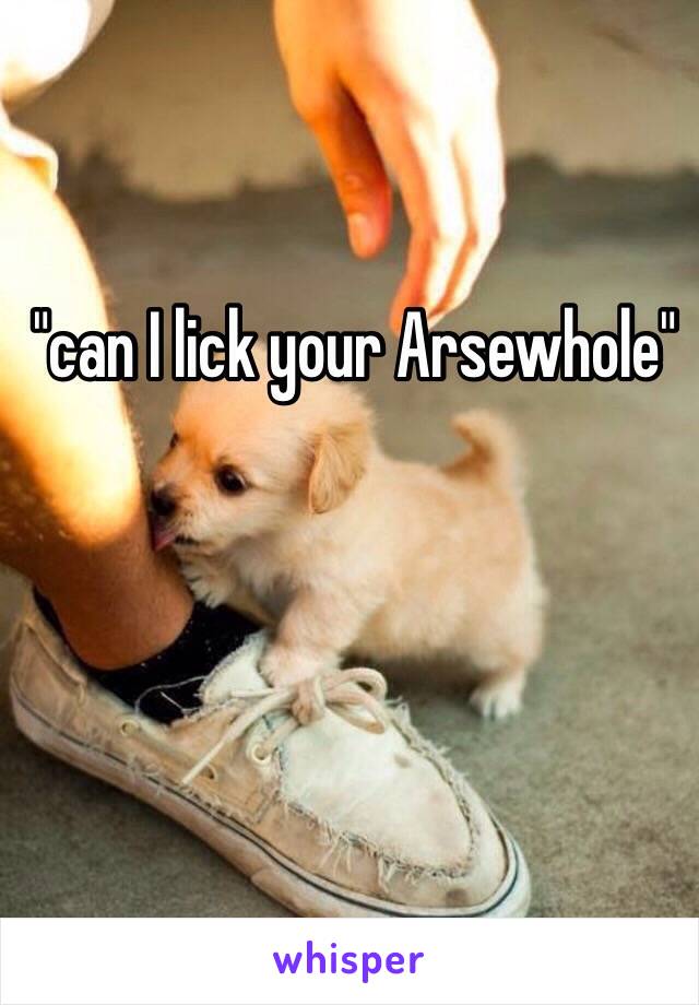 "can I lick your Arsewhole"