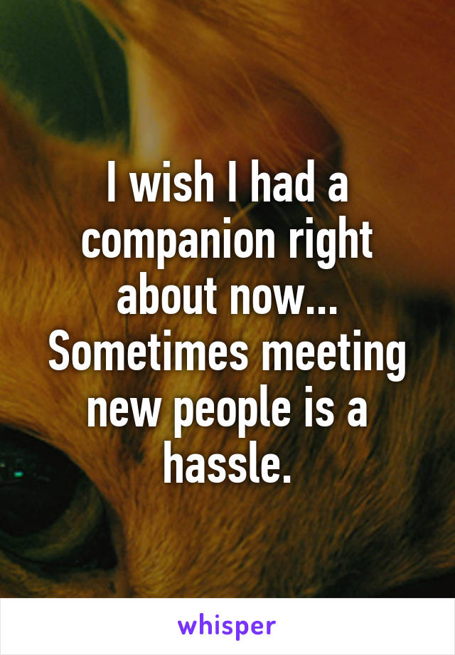 I wish I had a companion right about now... Sometimes meeting new people is a hassle.