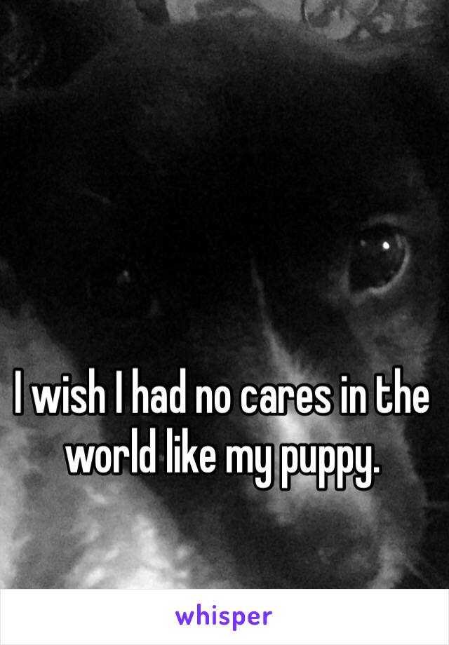 I wish I had no cares in the world like my puppy.