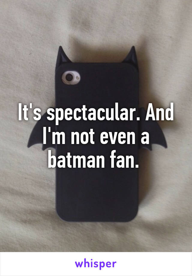 It's spectacular. And I'm not even a batman fan. 