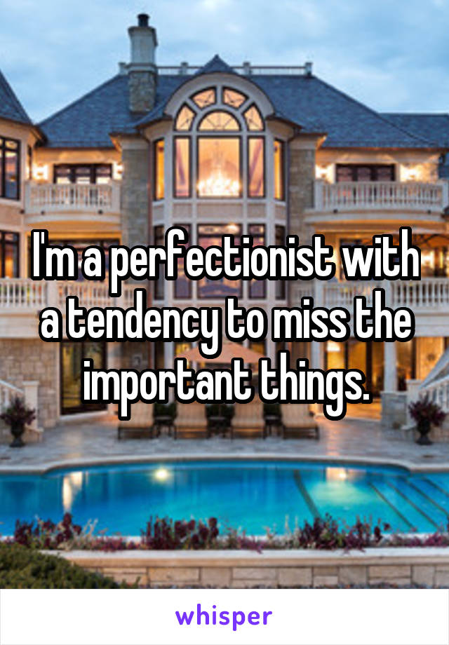 I'm a perfectionist with a tendency to miss the important things.