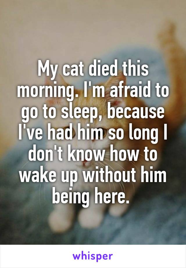 My cat died this morning. I'm afraid to go to sleep, because I've had him so long I don't know how to wake up without him being here. 