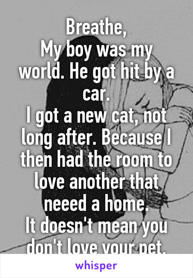 Breathe,
My boy was my world. He got hit by a car.
I got a new cat, not long after. Because I then had the room to love another that neeed a home.
It doesn't mean you don't love your pet.