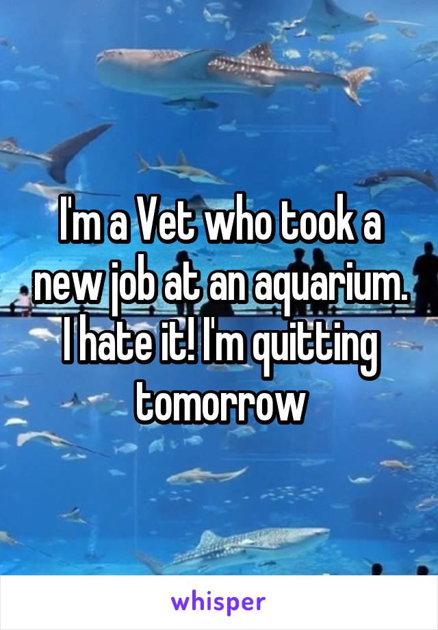 I'm a Vet who took a new job at an aquarium. I hate it! I'm quitting tomorrow