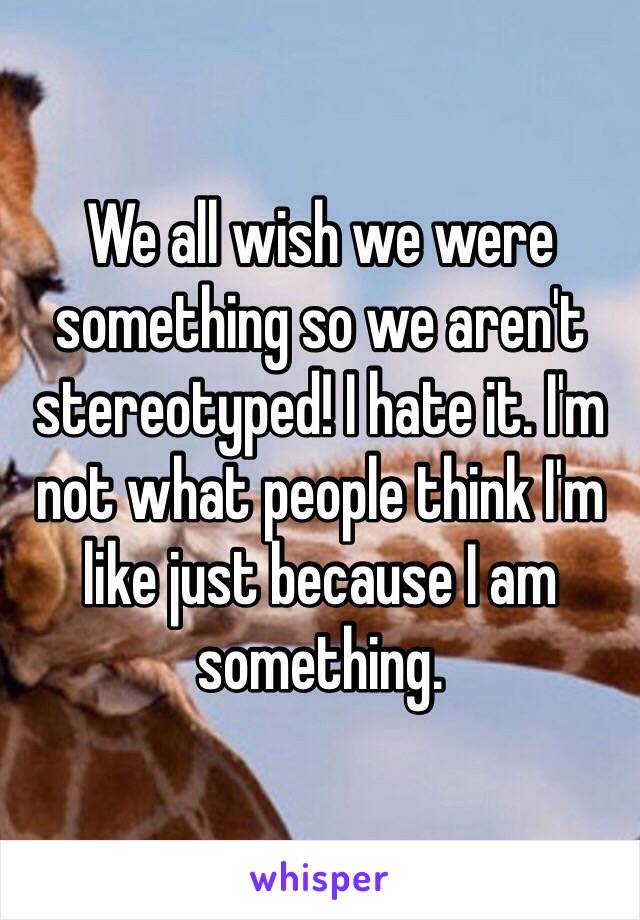 We all wish we were something so we aren't stereotyped! I hate it. I'm not what people think I'm like just because I am something.