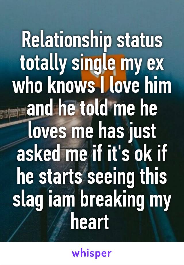 Relationship status totally single my ex who knows I love him and he told me he loves me has just asked me if it's ok if he starts seeing this slag iam breaking my heart 