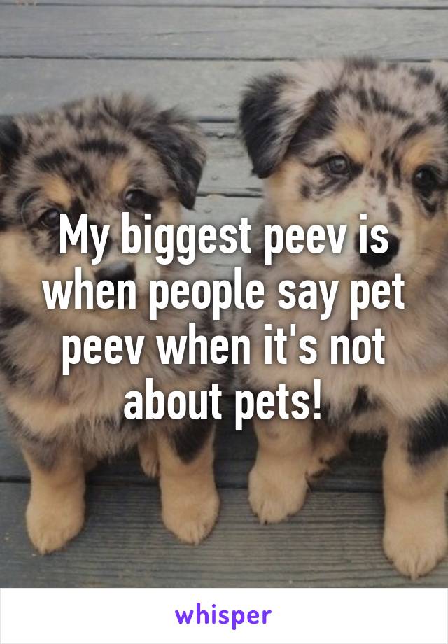 My biggest peev is when people say pet peev when it's not about pets!