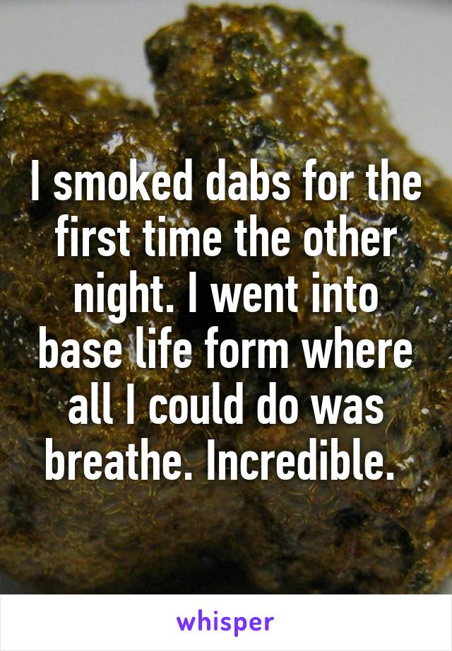 I smoked dabs for the first time the other night. I went into base life form where all I could do was breathe. Incredible. 