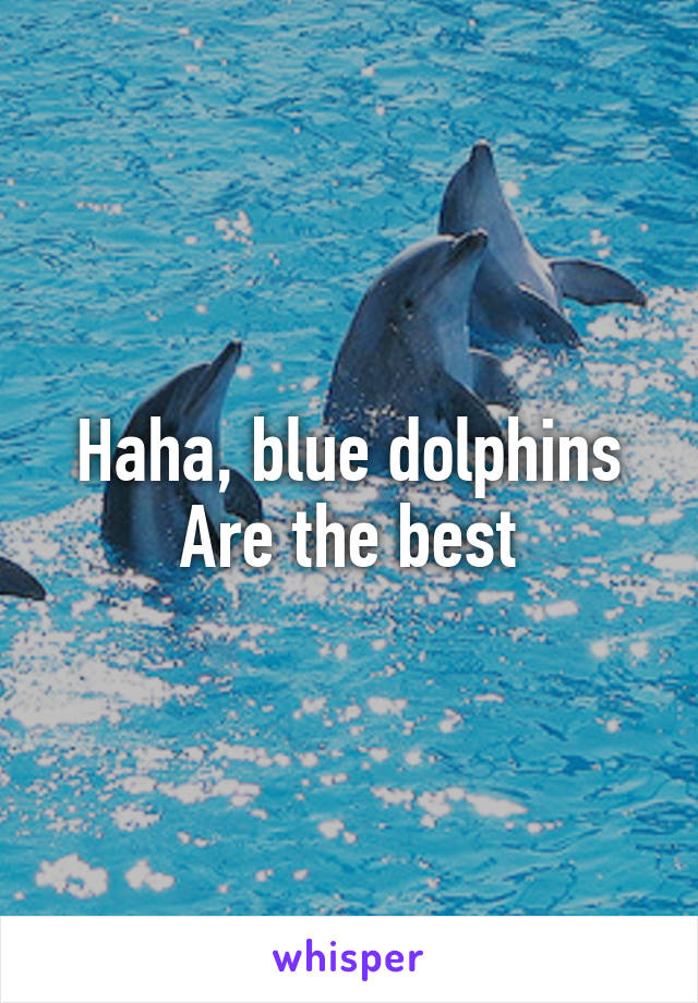 Haha, blue dolphins Are the best