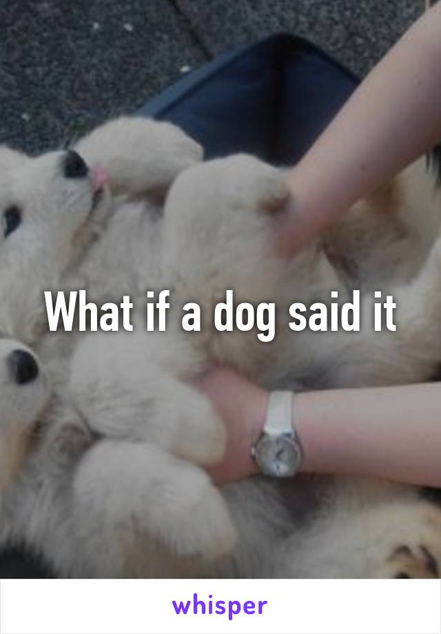 What if a dog said it