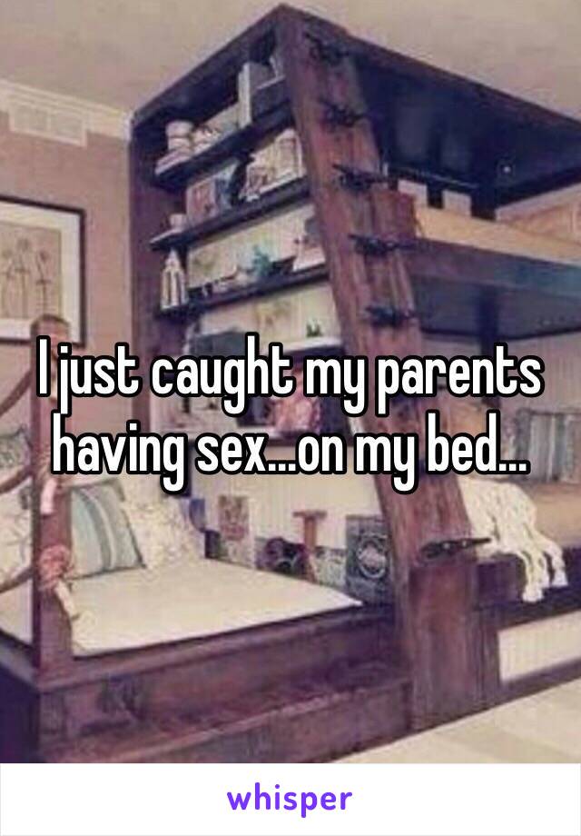 I just caught my parents having sex...on my bed...