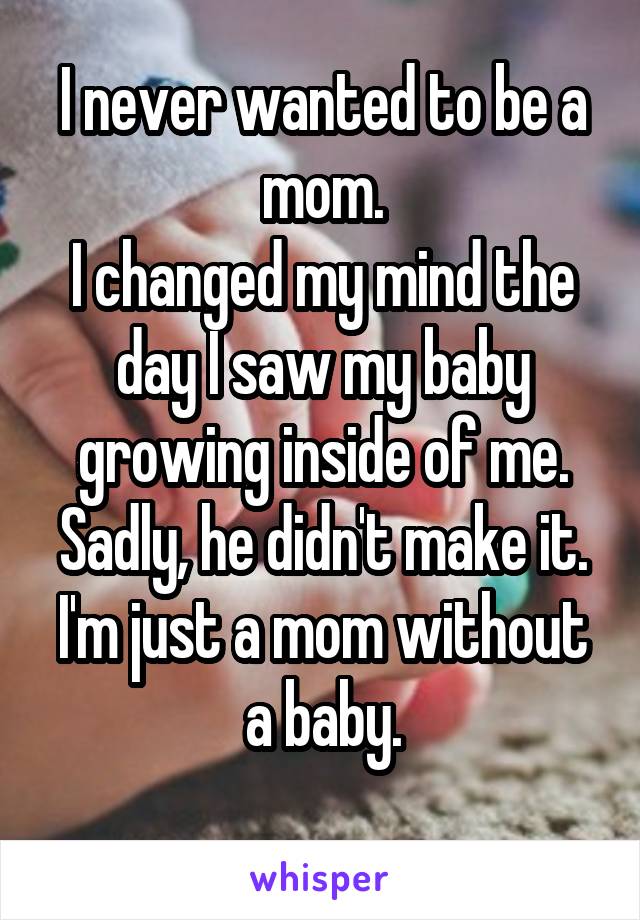 I never wanted to be a mom.
I changed my mind the day I saw my baby growing inside of me.
Sadly, he didn't make it.
I'm just a mom without a baby.
