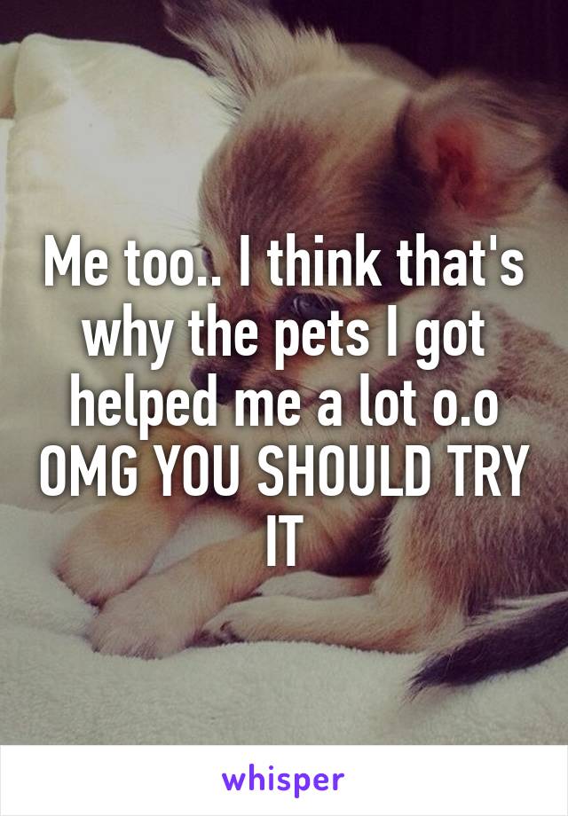 Me too.. I think that's why the pets I got helped me a lot o.o OMG YOU SHOULD TRY IT