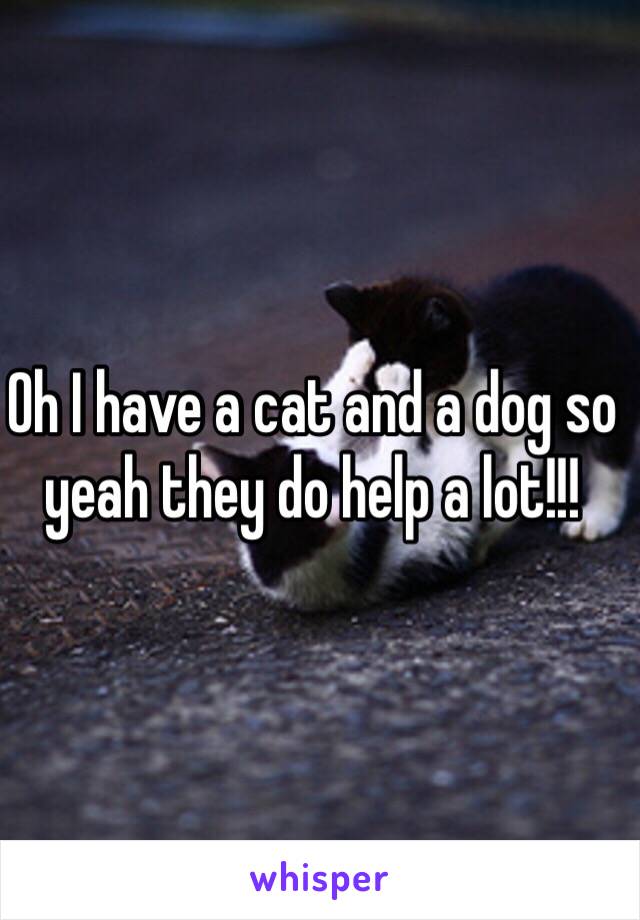 Oh I have a cat and a dog so yeah they do help a lot!!! 