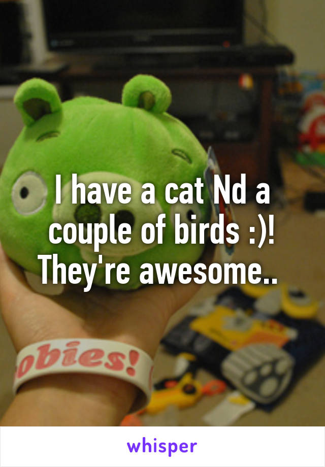 I have a cat Nd a couple of birds :)! They're awesome.. 