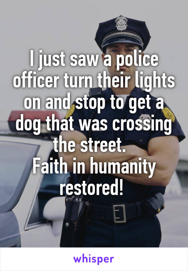 I just saw a police officer turn their lights on and stop to get a dog that was crossing the street.  
Faith in humanity restored! 
