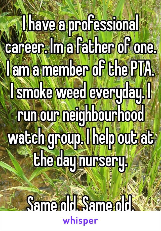 I have a professional career. Im a father of one. I am a member of the PTA. I smoke weed everyday. I run our neighbourhood watch group. I help out at the day nursery. 

Same old. Same old.