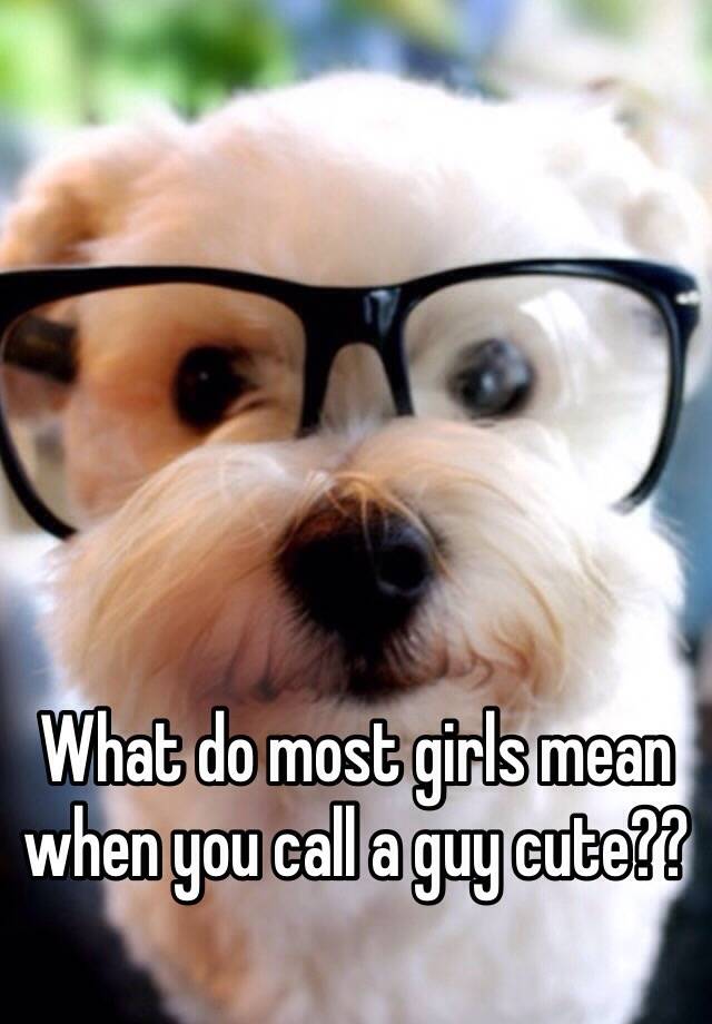 what-do-most-girls-mean-when-you-call-a-guy-cute