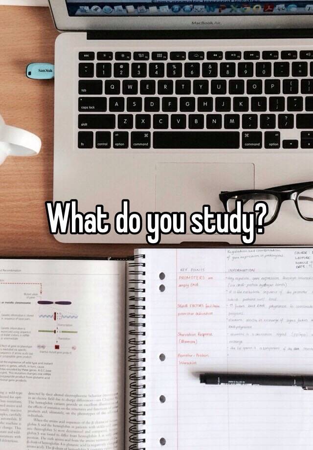 what-do-you-study