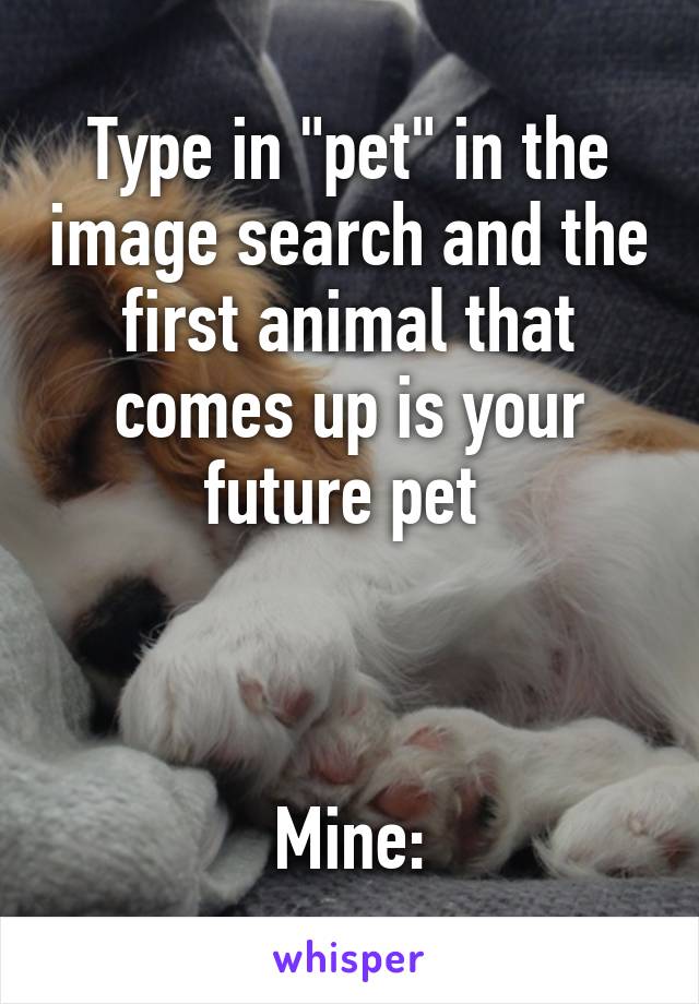 Type in "pet" in the image search and the first animal that comes up is your future pet 



Mine: