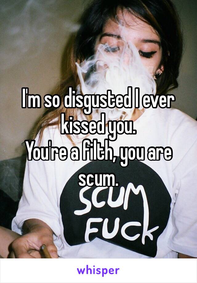 I'm so disgusted I ever kissed you.
You're a filth, you are scum. 