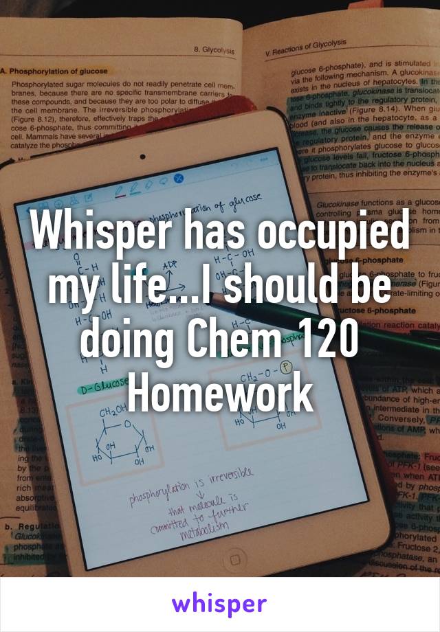 Whisper has occupied my life...I should be doing Chem 120 Homework