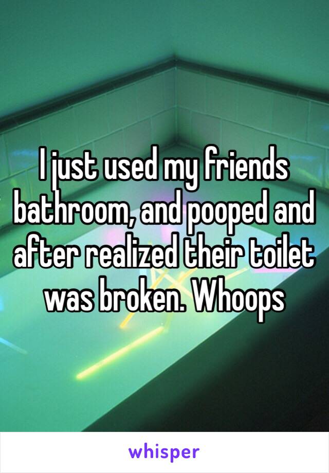 I just used my friends bathroom, and pooped and after realized their toilet was broken. Whoops 