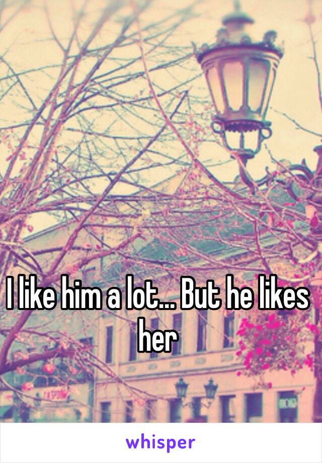 I like him a lot... But he likes her