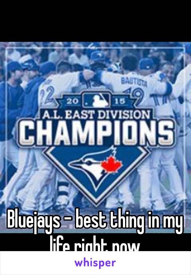 Bluejays - best thing in my life right now 