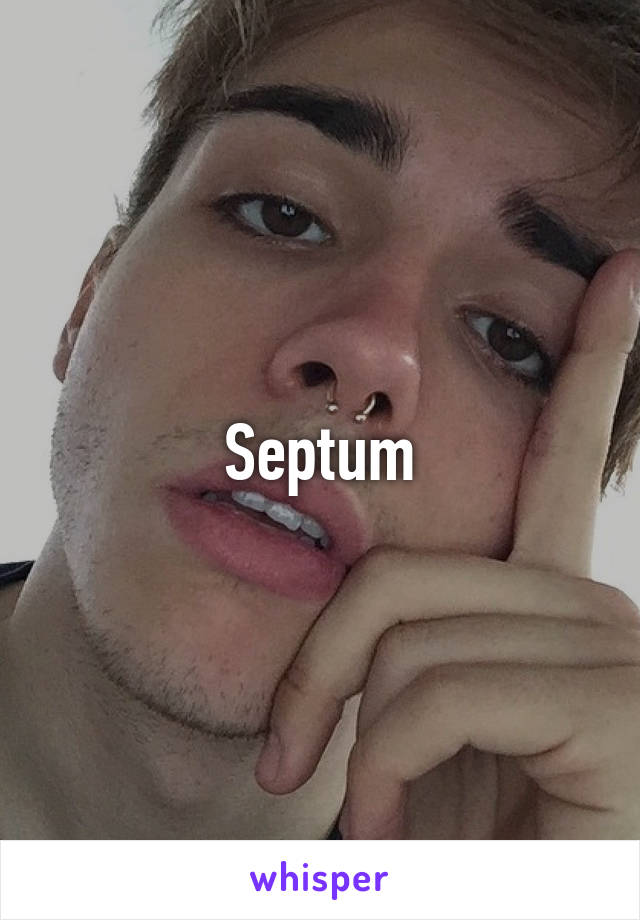 Septum