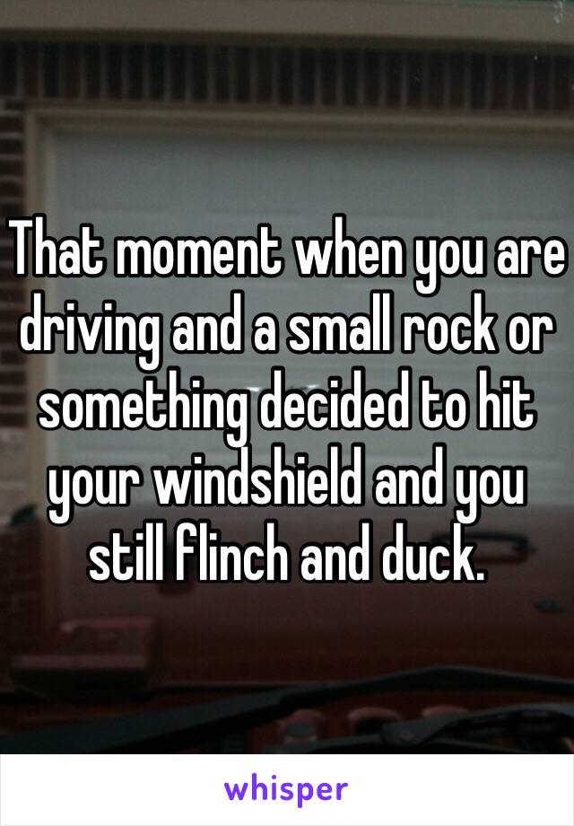 That moment when you are driving and a small rock or something decided to hit your windshield and you still flinch and duck. 