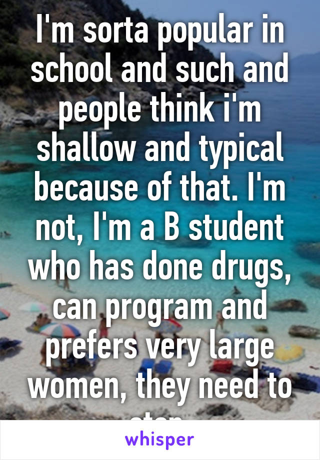 I'm sorta popular in school and such and people think i'm shallow and typical because of that. I'm not, I'm a B student who has done drugs, can program and prefers very large women, they need to stop.