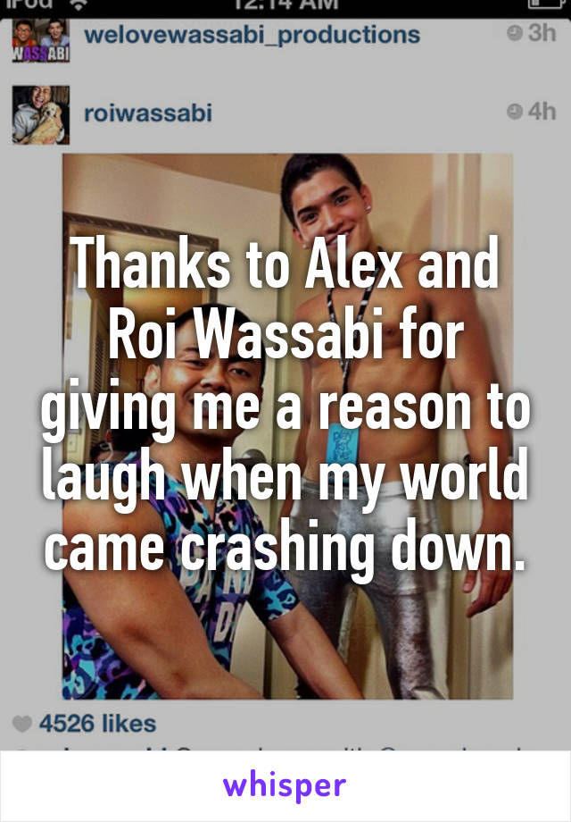 Thanks to Alex and Roi Wassabi for giving me a reason to laugh when my world came crashing down.