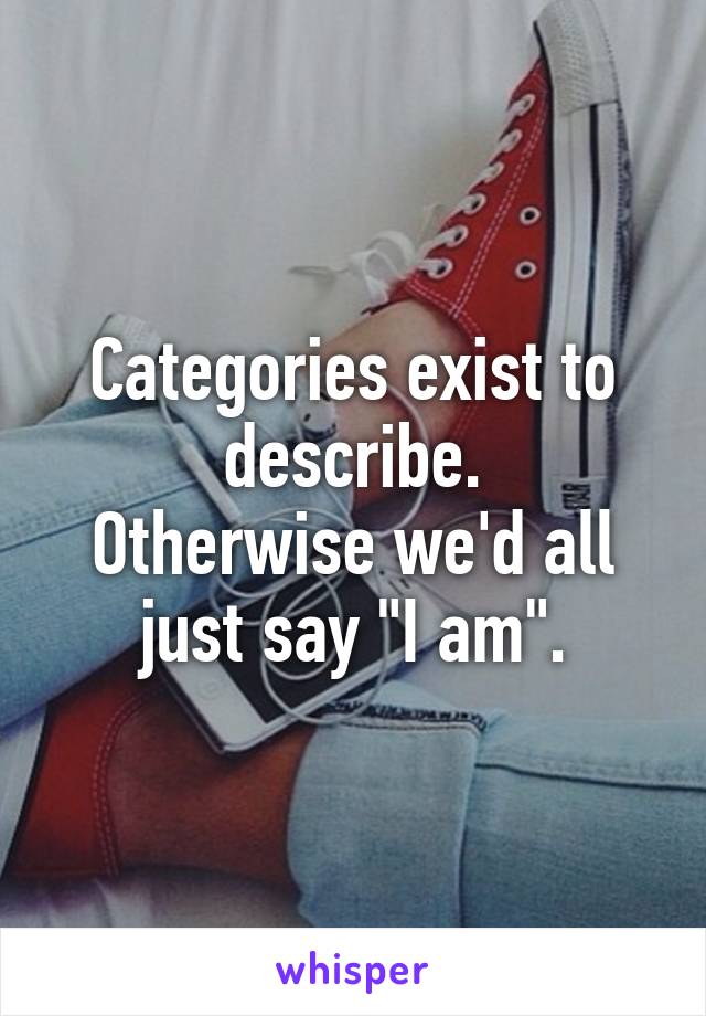 Categories exist to describe.
Otherwise we'd all just say "I am".