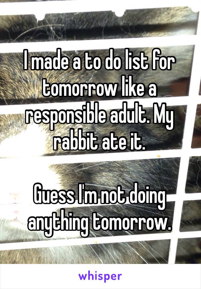 I made a to do list for tomorrow like a responsible adult. My rabbit ate it. 

Guess I'm not doing anything tomorrow.