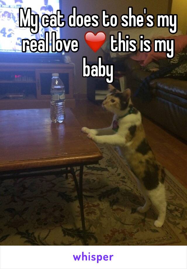 My cat does to she's my real love ❤️ this is my baby