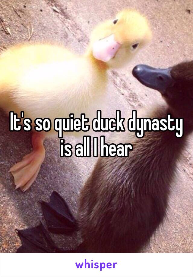 It's so quiet duck dynasty is all I hear 