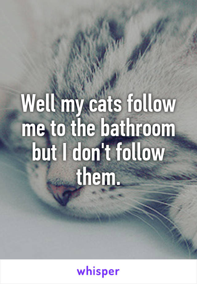 Well my cats follow me to the bathroom but I don't follow them.