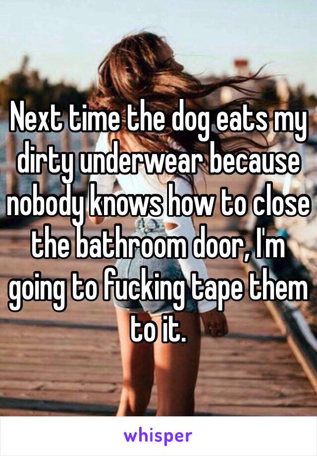 Next time the dog eats my dirty underwear because nobody knows how to close the bathroom door, I'm going to fucking tape them to it. 