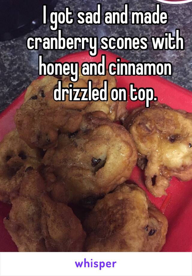 I got sad and made cranberry scones with honey and cinnamon drizzled on top. 