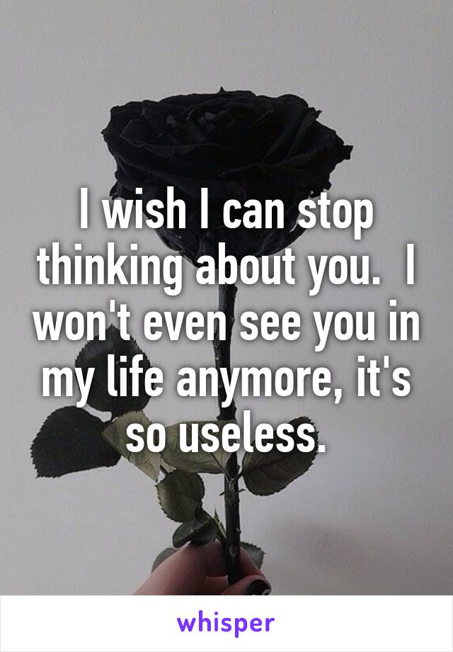 I wish I can stop thinking about you.  I won't even see you in my life anymore, it's so useless.