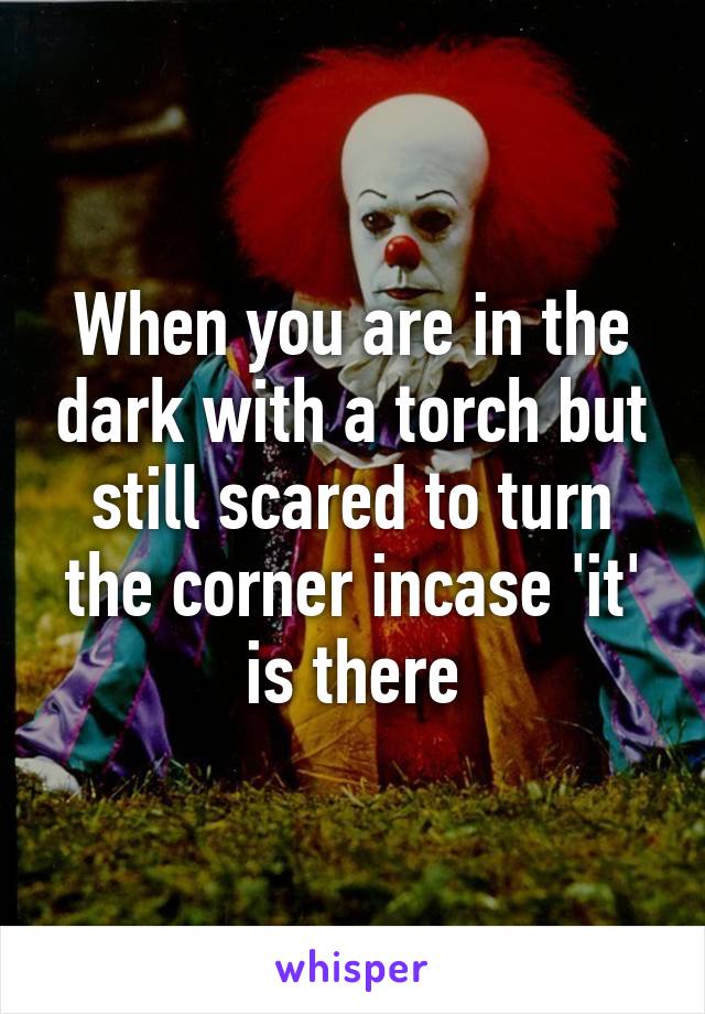 When you are in the dark with a torch but still scared to turn the corner incase 'it' is there