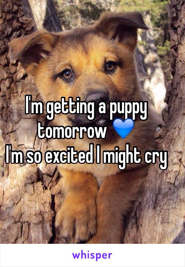 I'm getting a puppy tomorrow 💙
I'm so excited I might cry