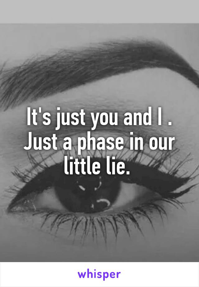 It's just you and I . Just a phase in our little lie. 