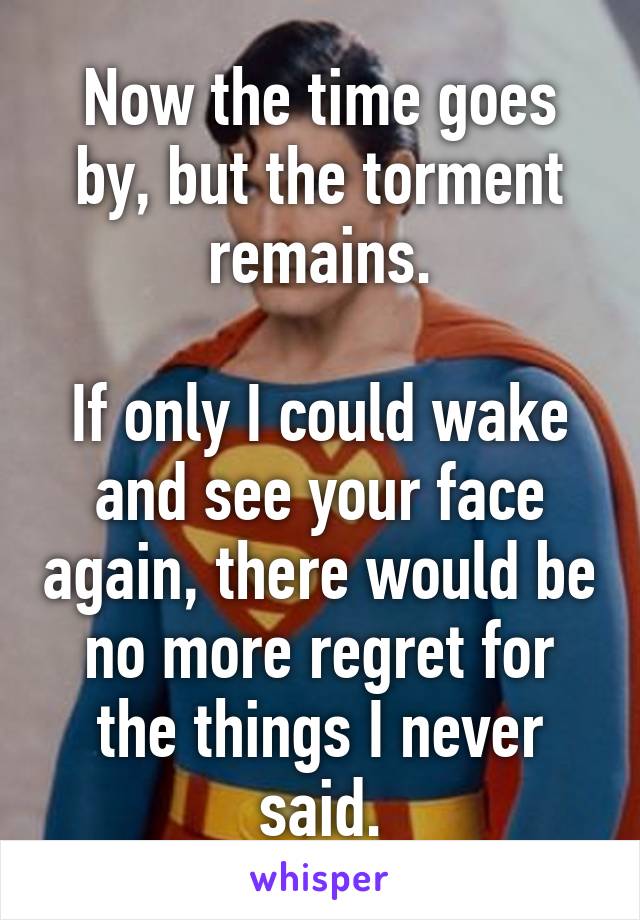 Now the time goes by, but the torment remains.

If only I could wake and see your face again, there would be no more regret for the things I never said.